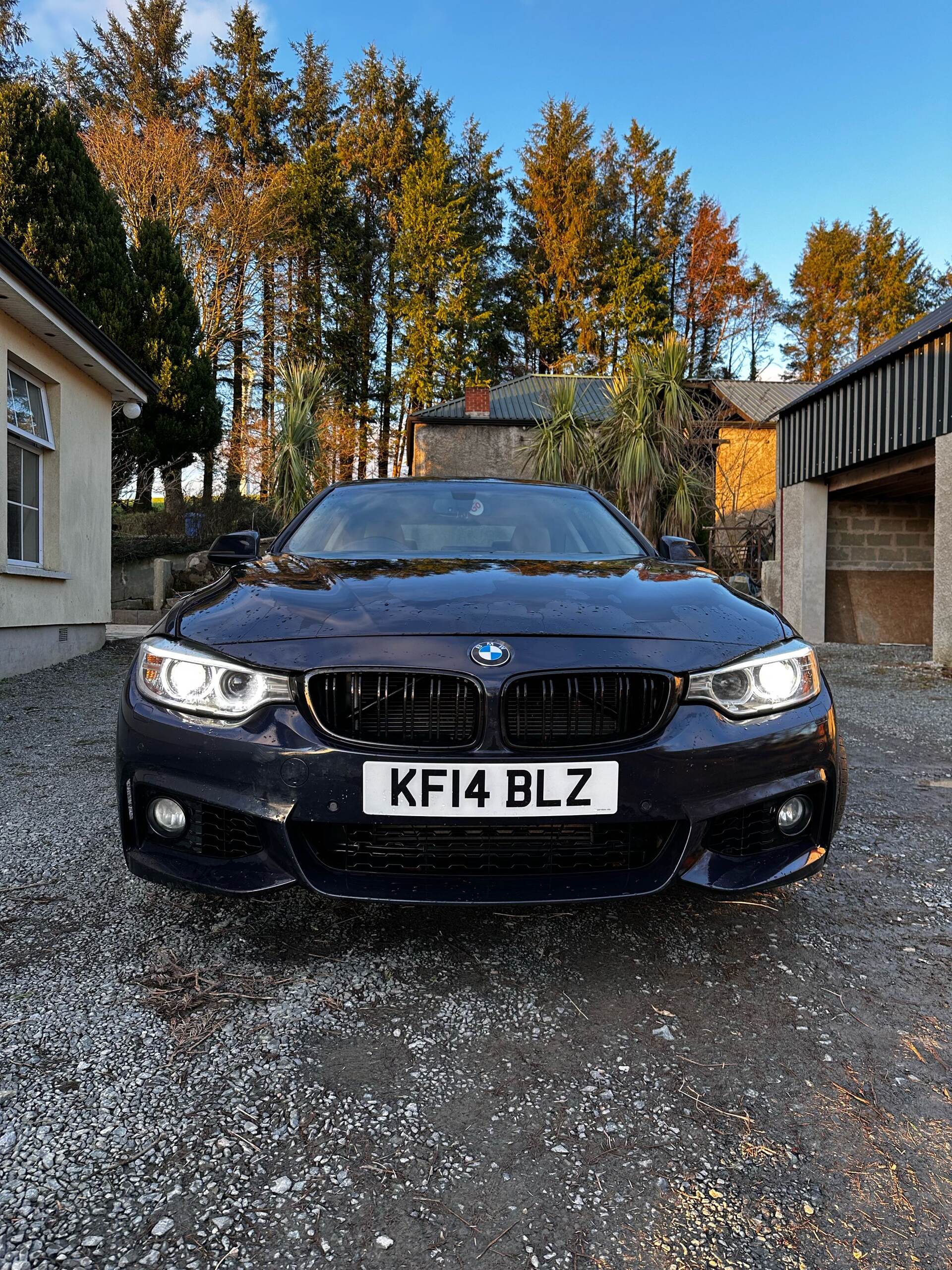 Mar 2014 BMW 4 Series 420d SE 2dr Auto