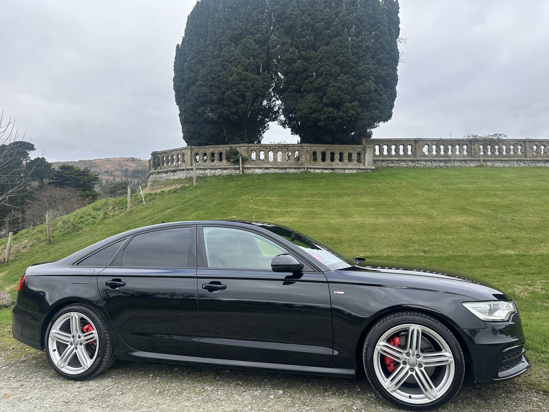 Audi A6 SALOON SPECIAL EDITIONS in Down