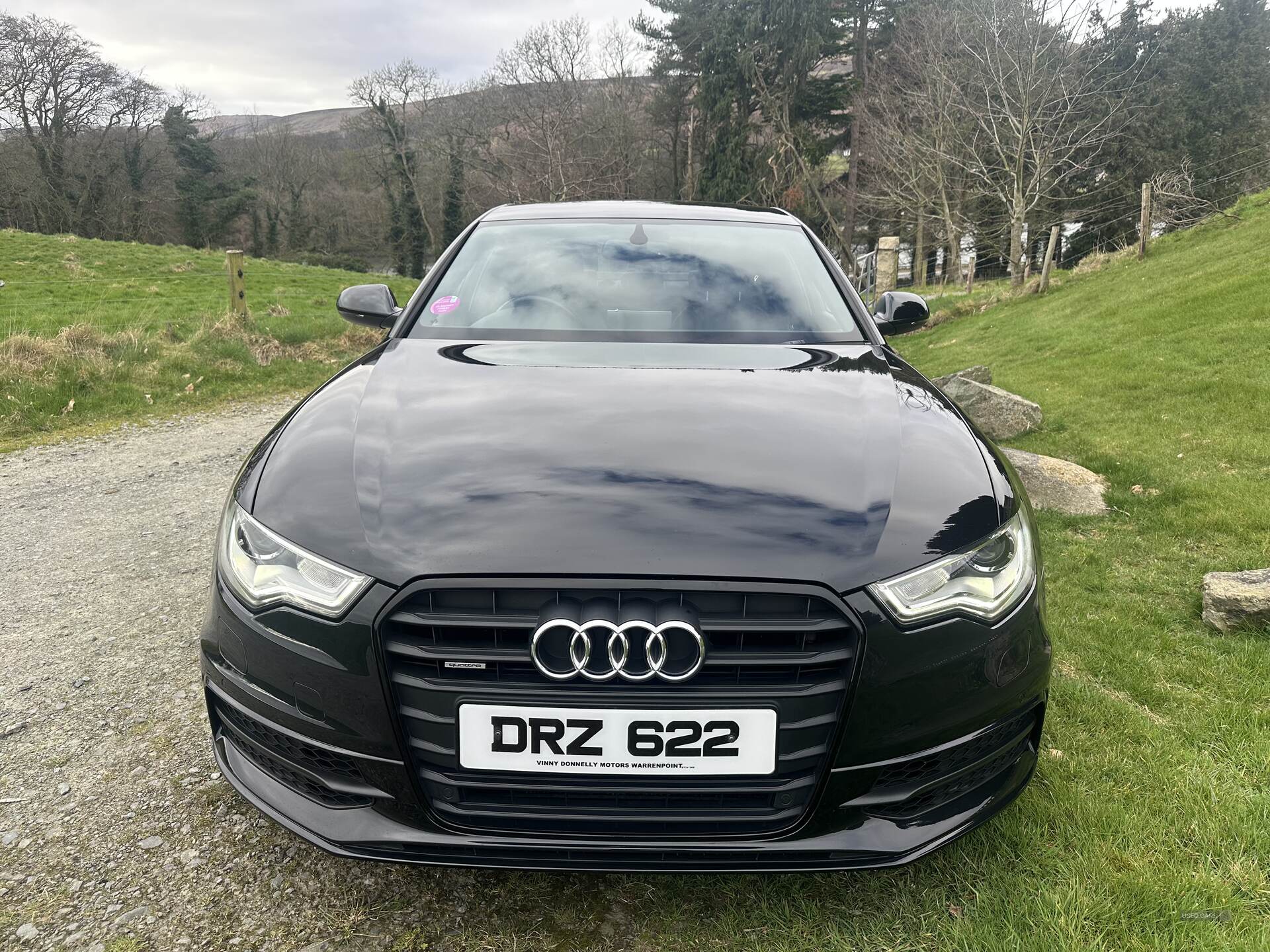 Audi A6 SALOON SPECIAL EDITIONS in Down