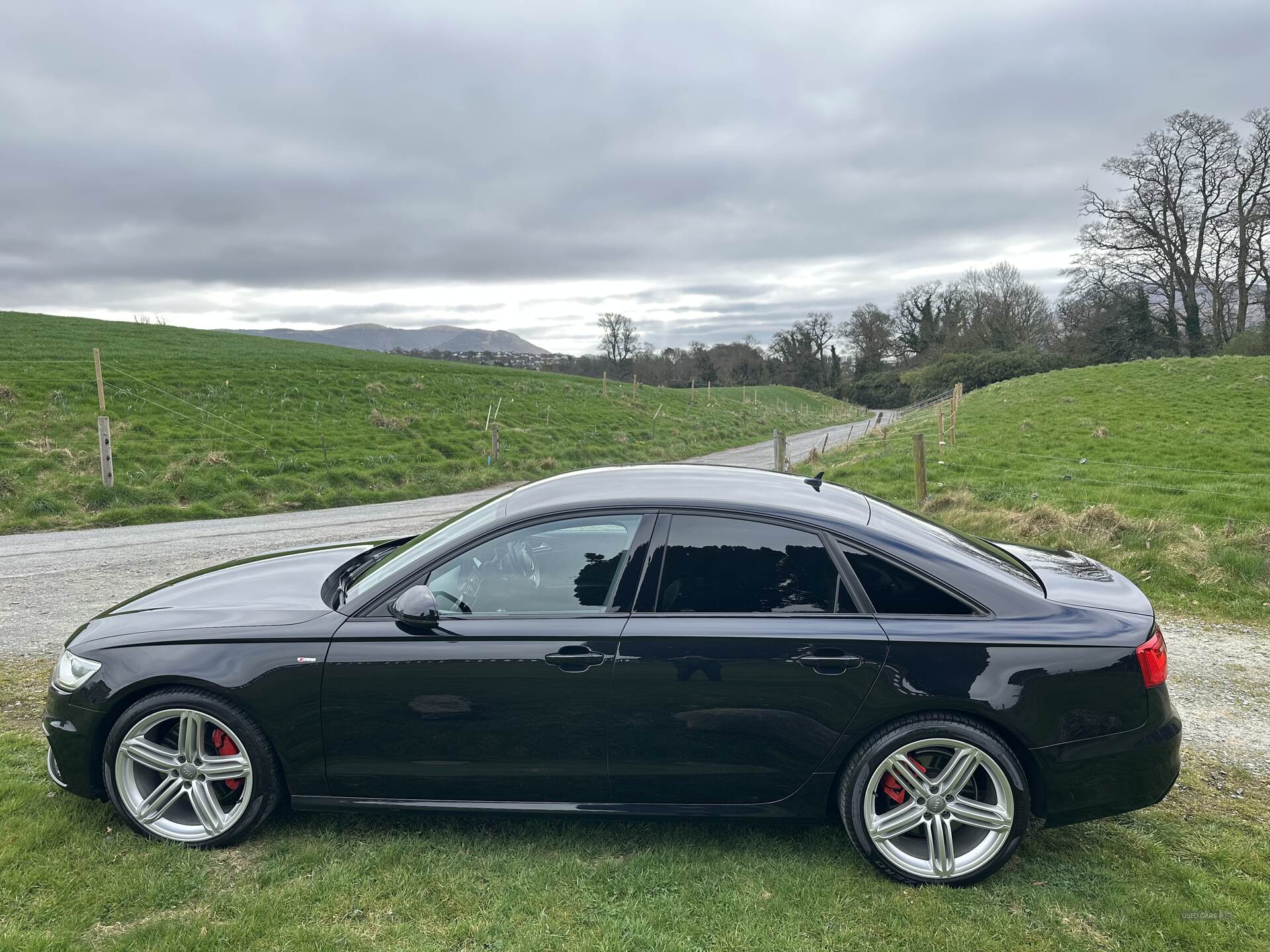 Audi A6 SALOON SPECIAL EDITIONS in Down