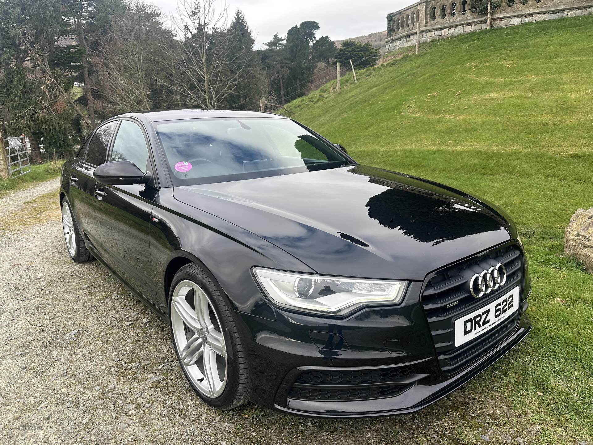 Audi A6 SALOON SPECIAL EDITIONS in Down