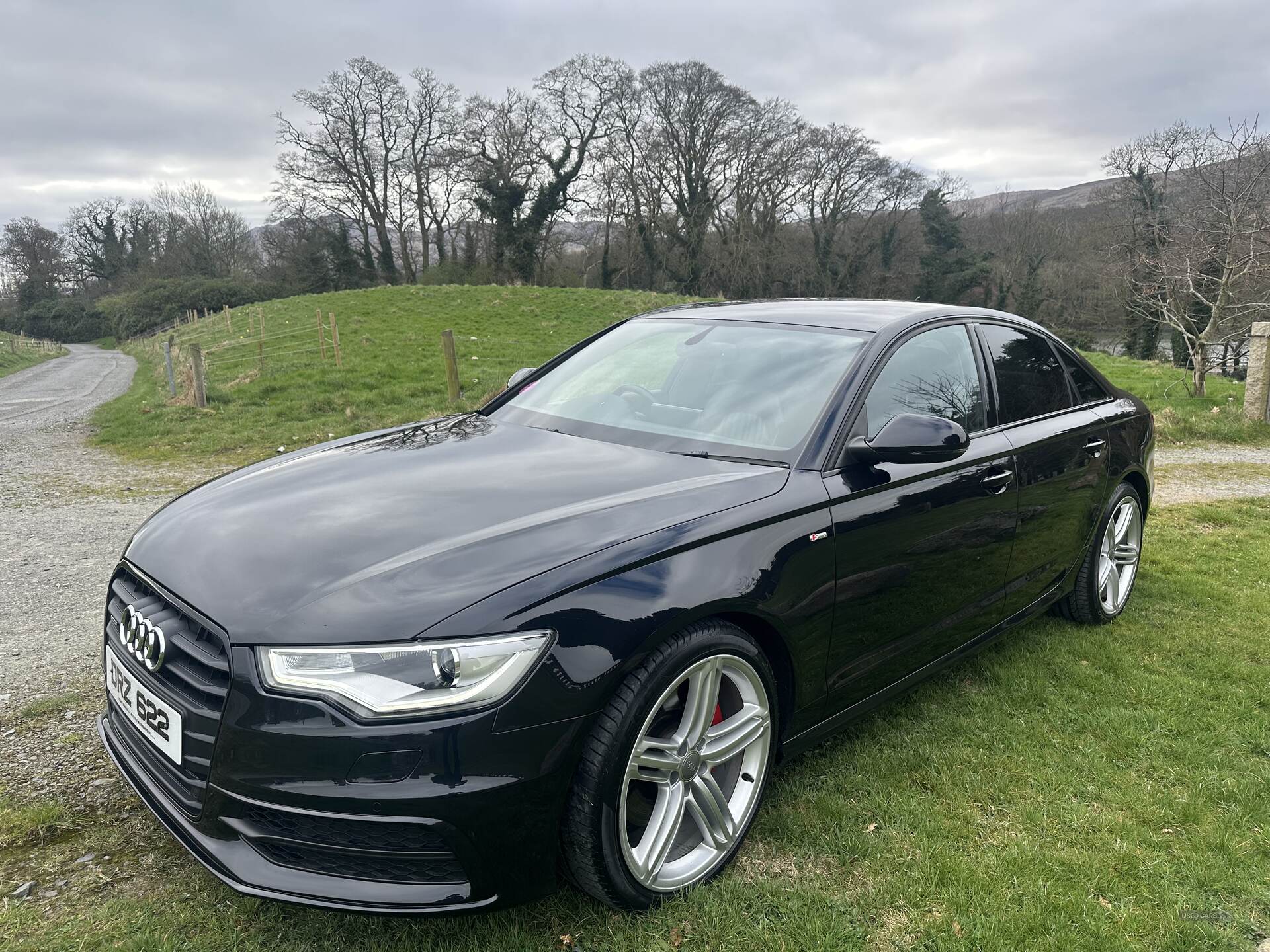 Audi A6 SALOON SPECIAL EDITIONS in Down