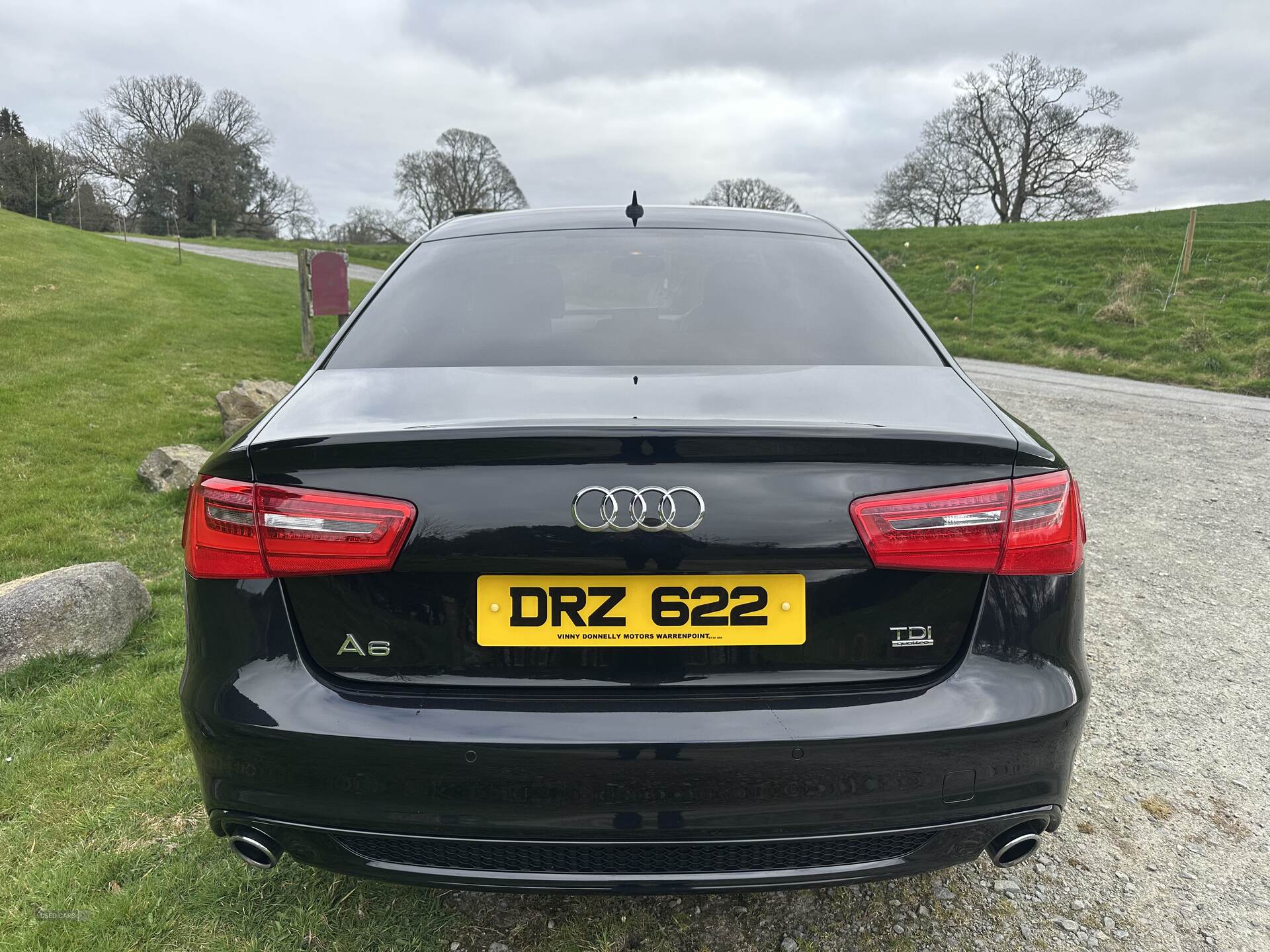 Audi A6 SALOON SPECIAL EDITIONS in Down