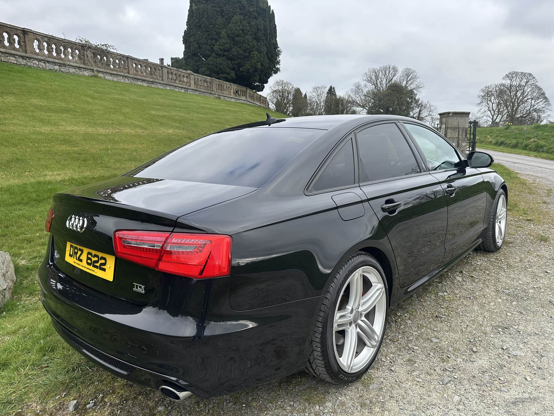 Audi A6 SALOON SPECIAL EDITIONS in Down