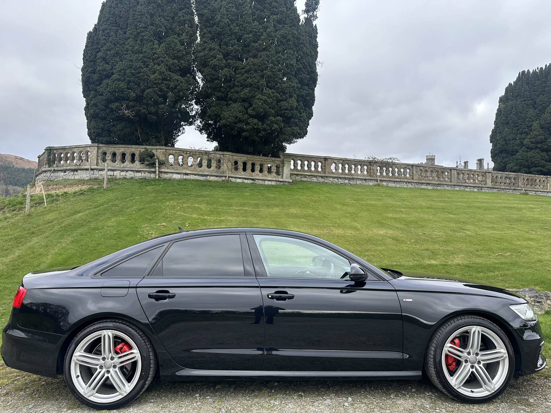 Audi A6 SALOON SPECIAL EDITIONS in Down