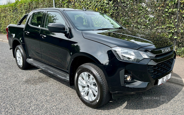 Isuzu D-Max Double Cab in Tyrone