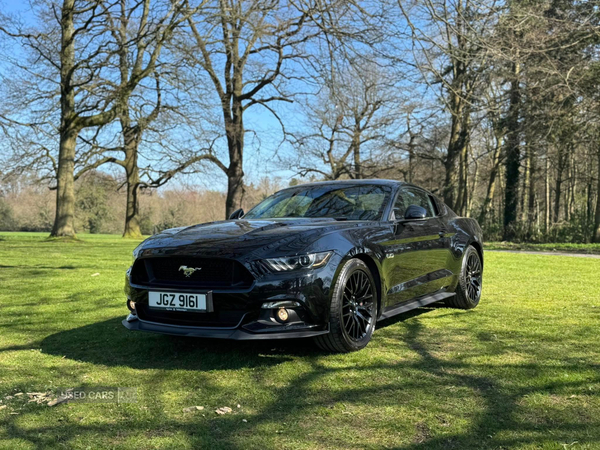 Ford Mustang FASTBACK in Armagh