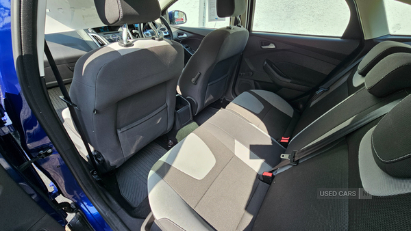 Ford Focus HATCHBACK in Down