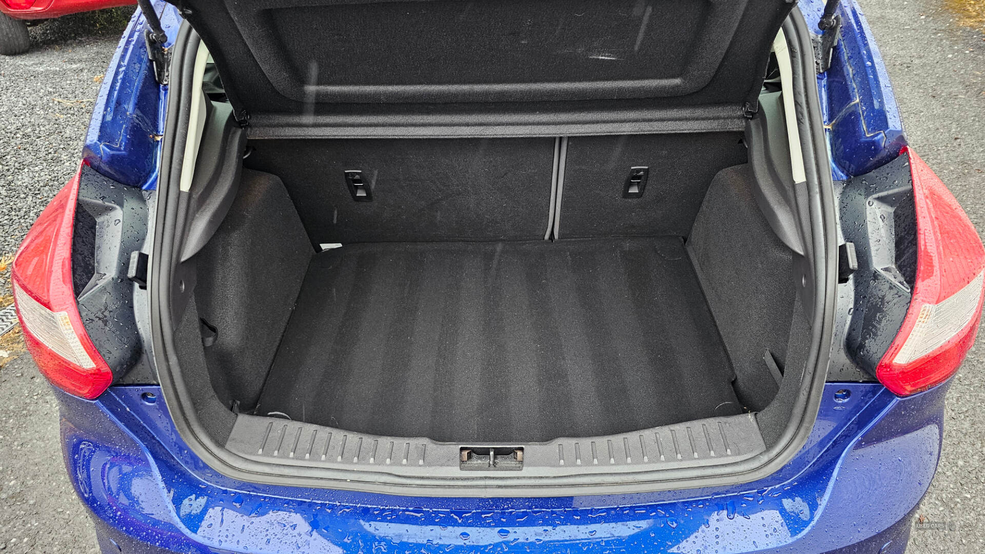 Ford Focus HATCHBACK in Down