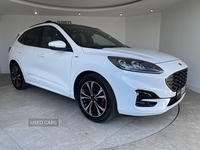 Ford Kuga 1.5 EcoBlue ST-Line X Edition 5dr in Tyrone