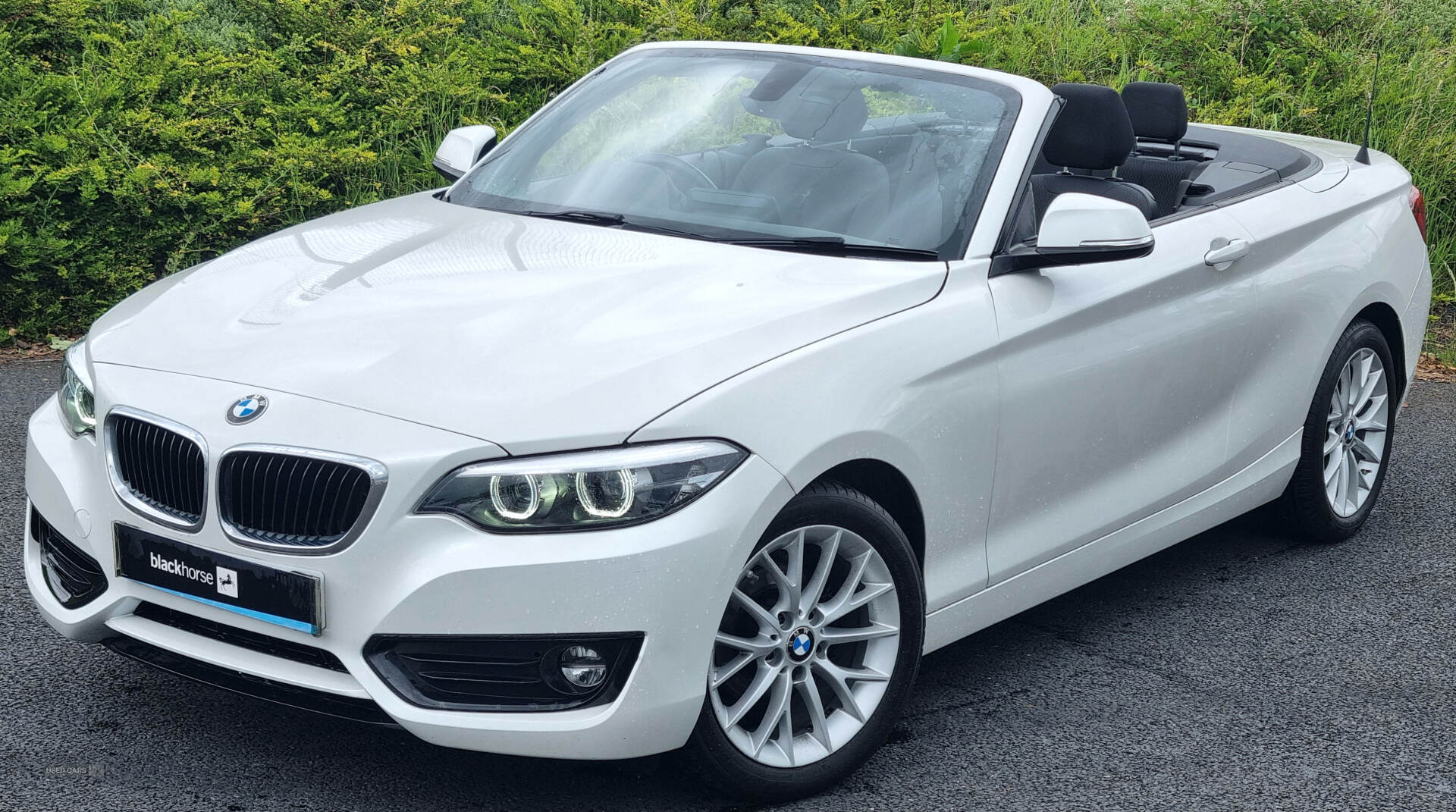 BMW 2 Series CONVERTIBLE in Armagh