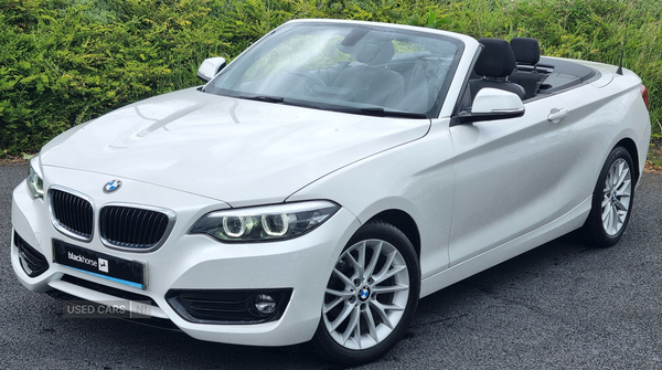 BMW 2 Series CONVERTIBLE in Armagh