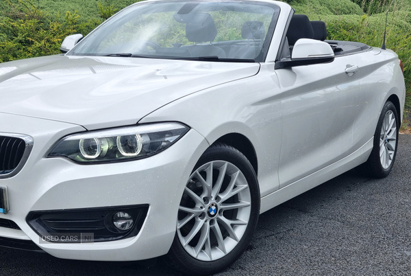 BMW 2 Series CONVERTIBLE in Armagh