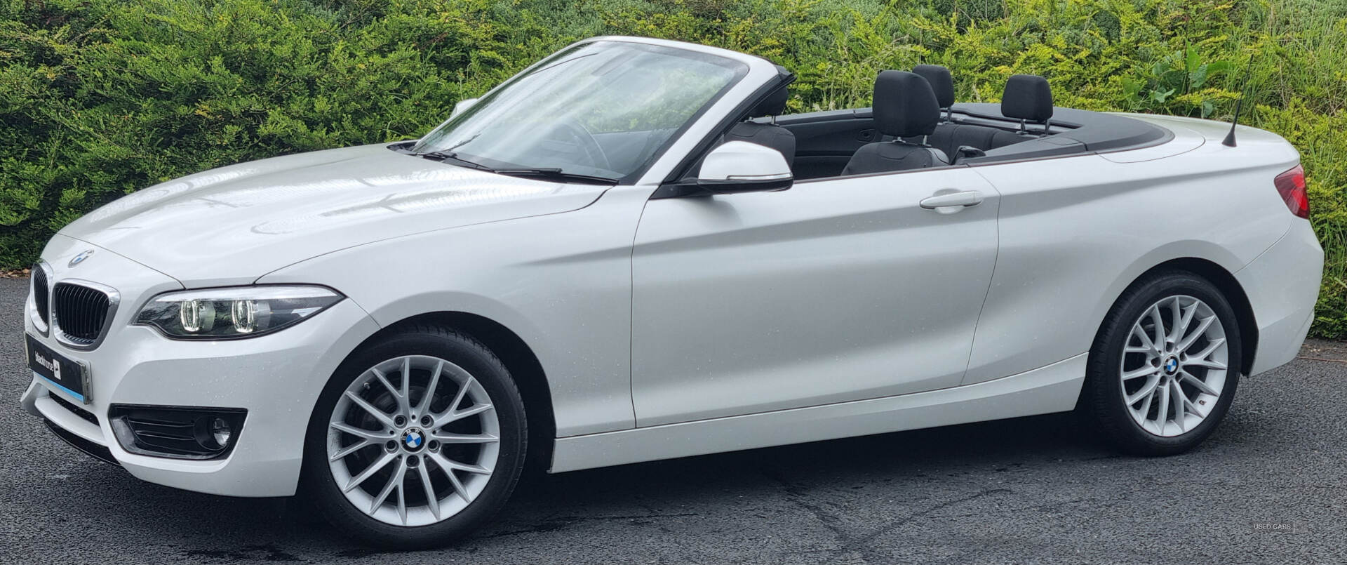 BMW 2 Series CONVERTIBLE in Armagh