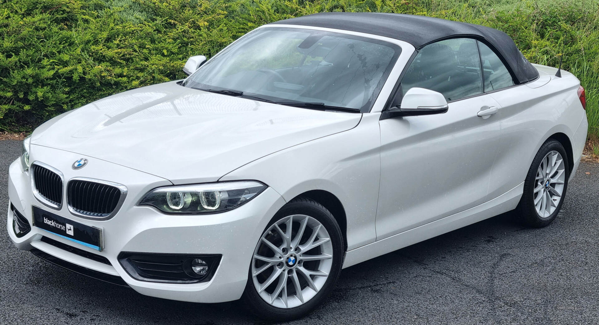 BMW 2 Series CONVERTIBLE in Armagh
