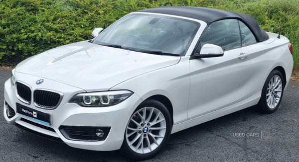 BMW 2 Series CONVERTIBLE in Armagh