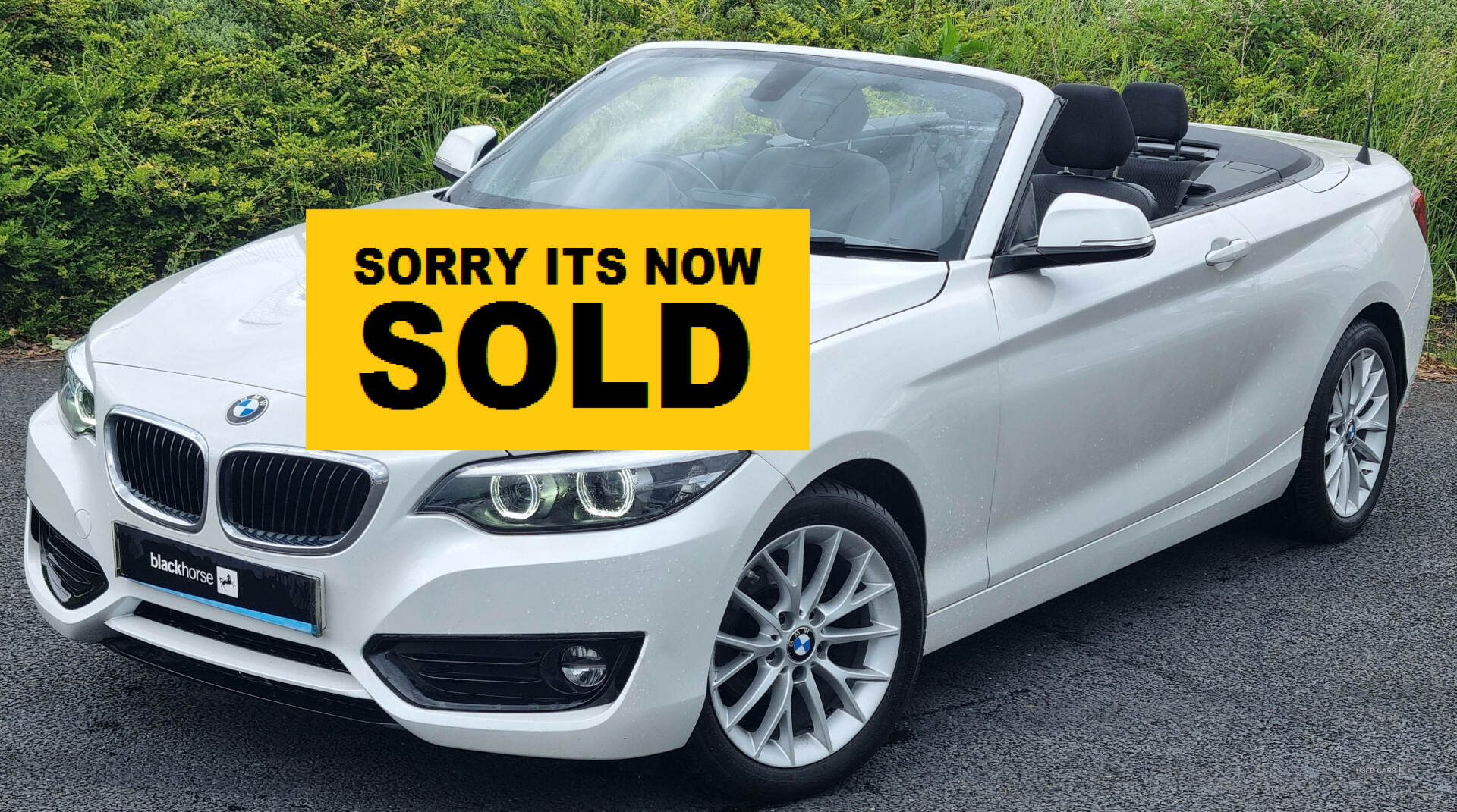BMW 2 Series CONVERTIBLE in Armagh