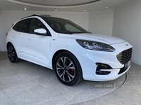 Ford Kuga 1.5 EcoBlue ST-Line X Edition 5dr in Tyrone
