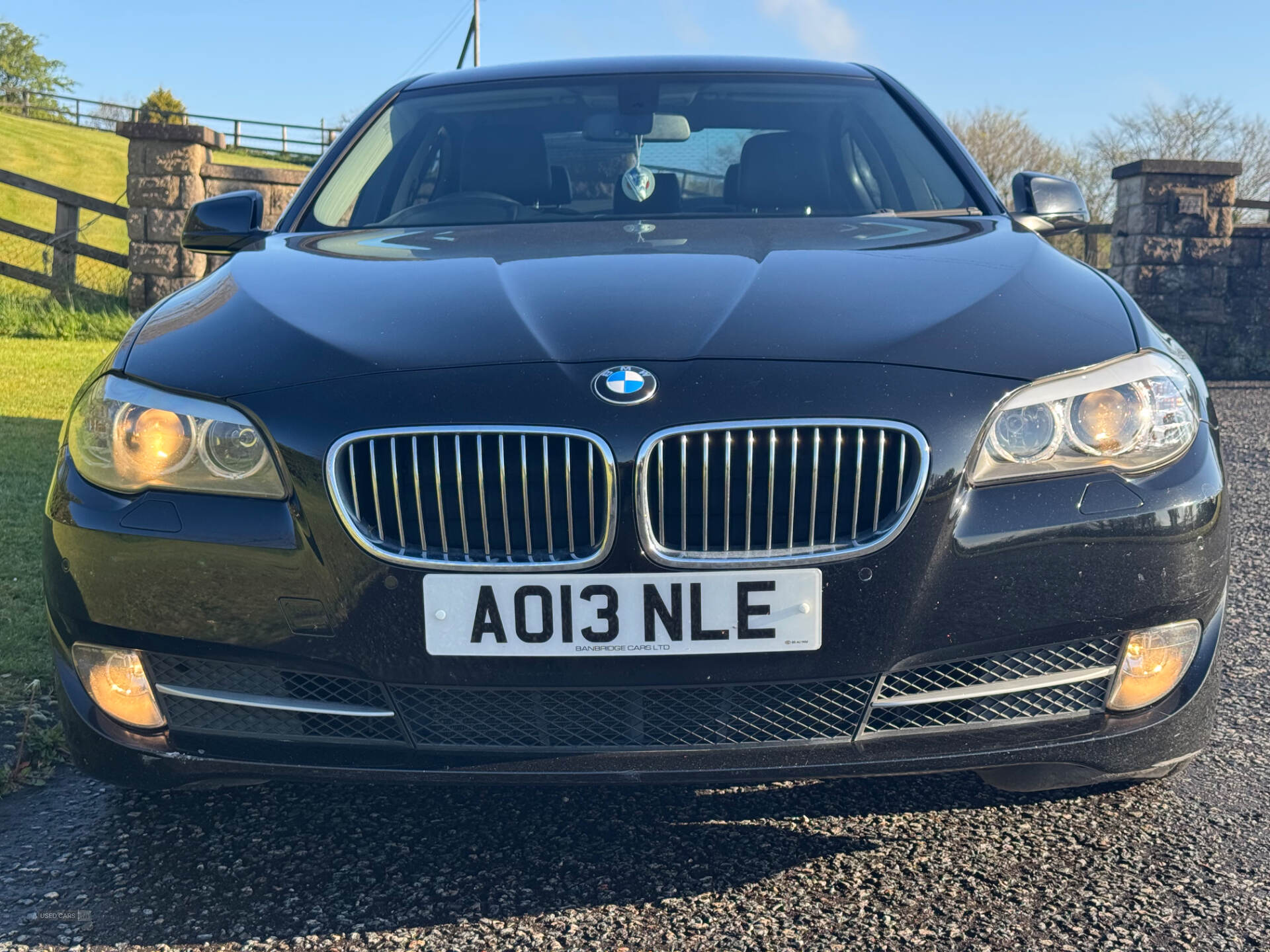 Apr 2013 BMW 5 Series 520d SE 4dr Step Auto [Start Stop]