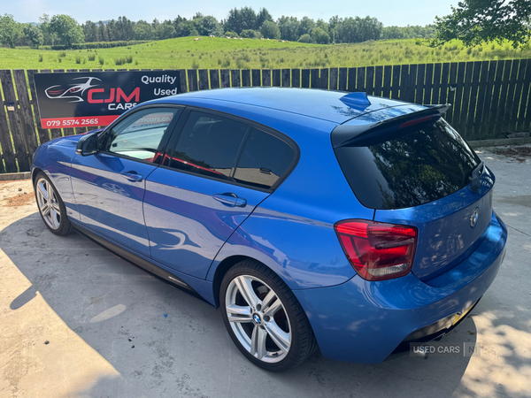 BMW 1 Series DIESEL HATCHBACK in Tyrone