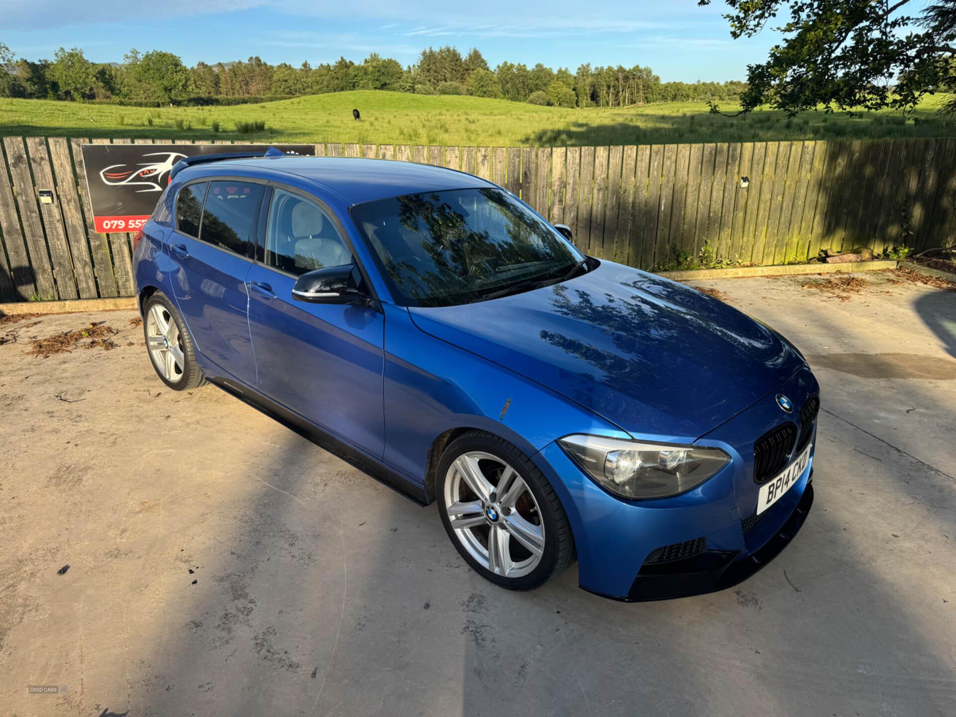 BMW 1 Series DIESEL HATCHBACK in Tyrone
