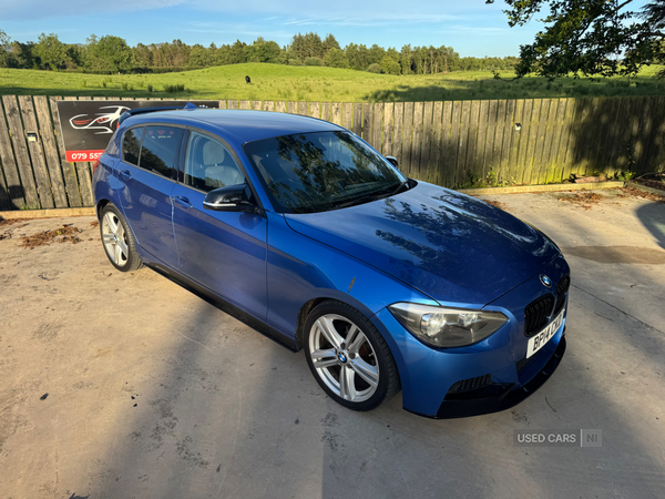 BMW 1 Series DIESEL HATCHBACK in Tyrone