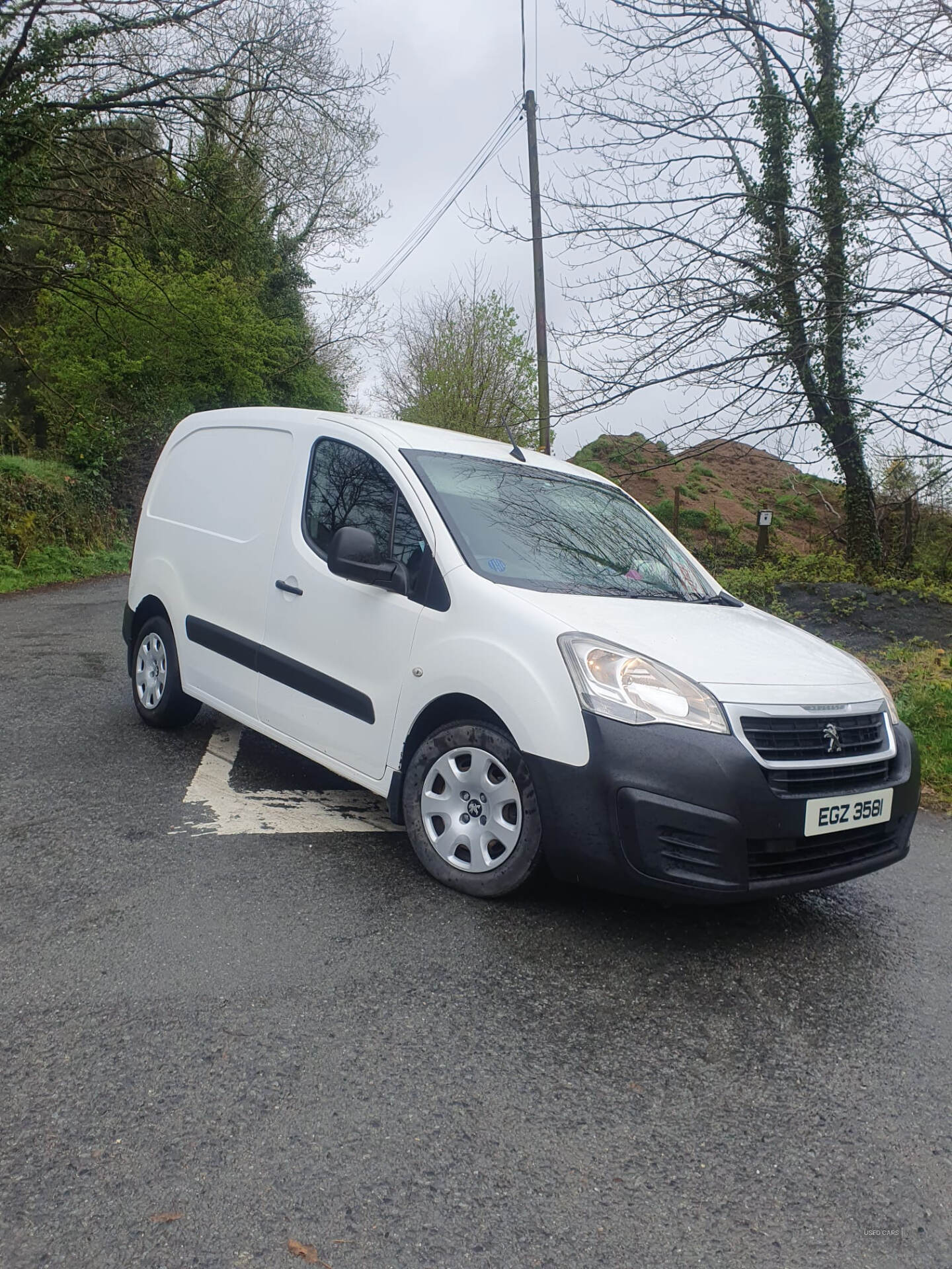 Sep 2016 Peugeot Partner 850 1.6 BlueHDi 100 Professional Van [non SS]