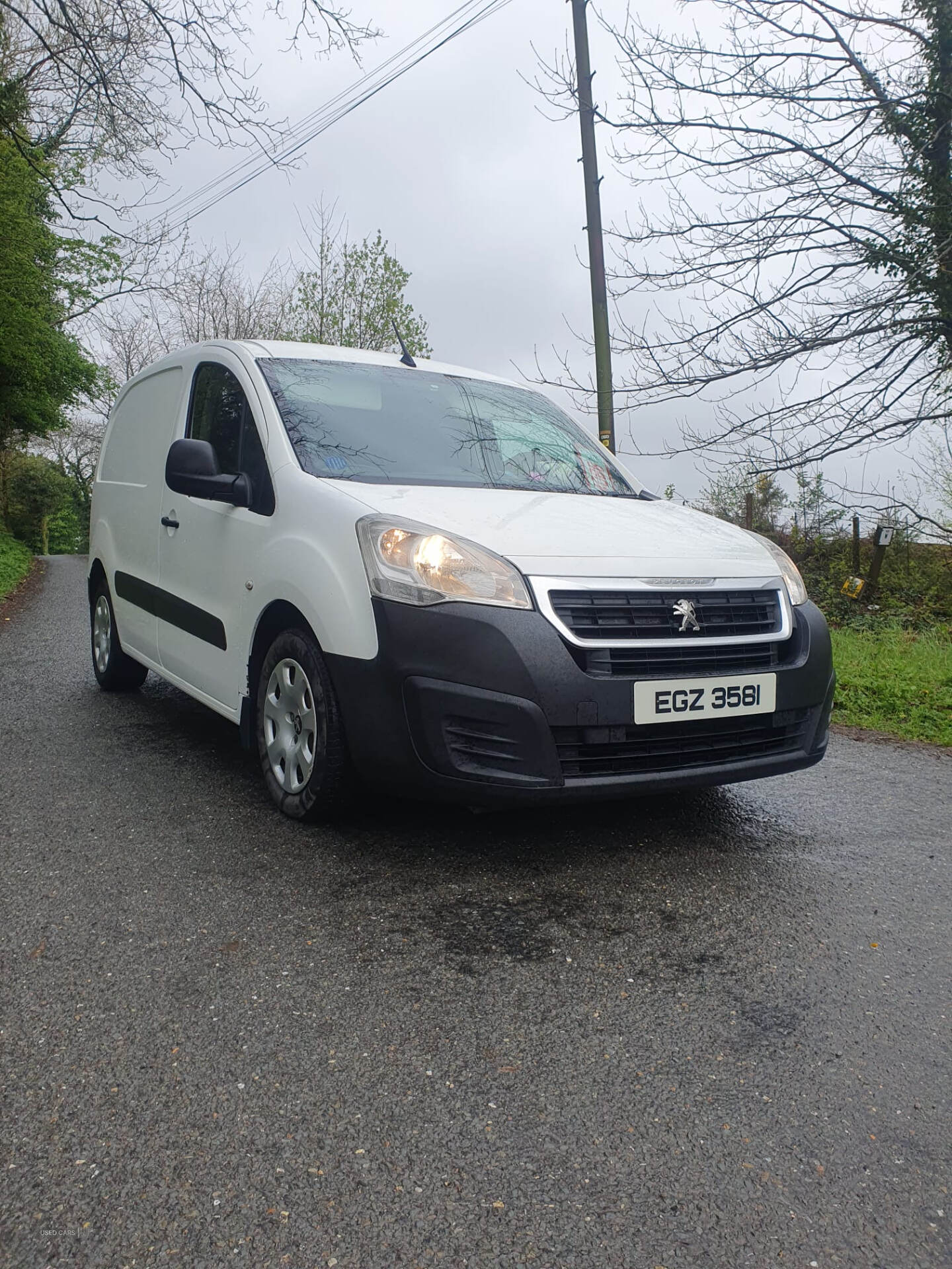 Sep 2016 Peugeot Partner 850 1.6 BlueHDi 100 Professional Van [non SS]