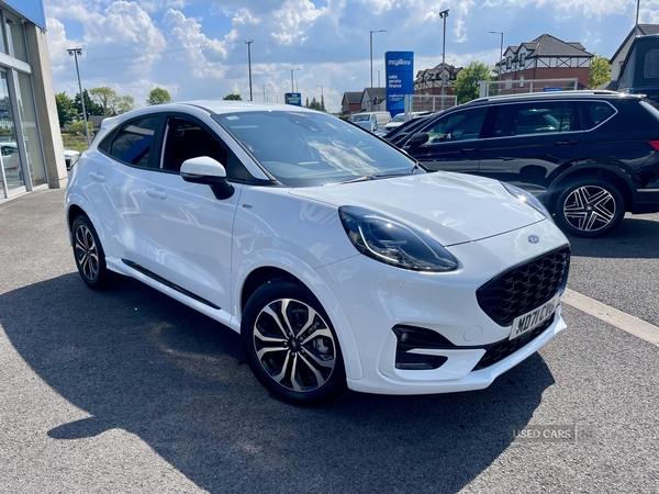 Ford Puma HATCHBACK in Tyrone