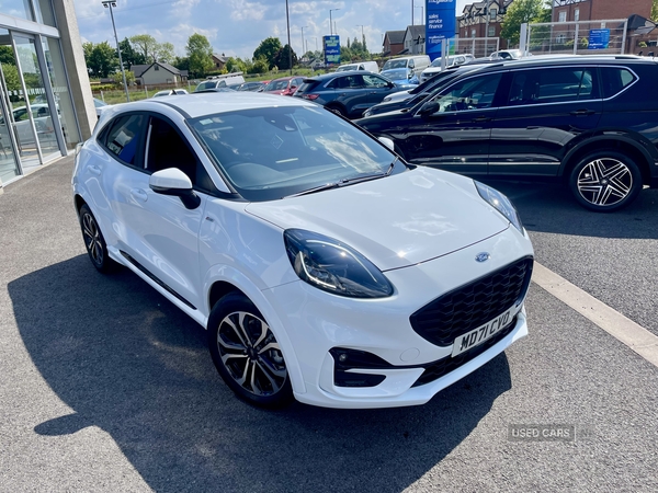 Ford Puma HATCHBACK in Tyrone