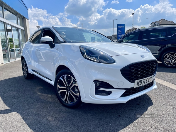Ford Puma HATCHBACK in Tyrone