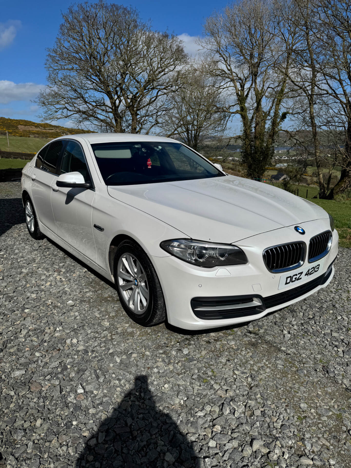 Sep 2016 BMW 5 Series 520d [190] SE 4dr Step Auto