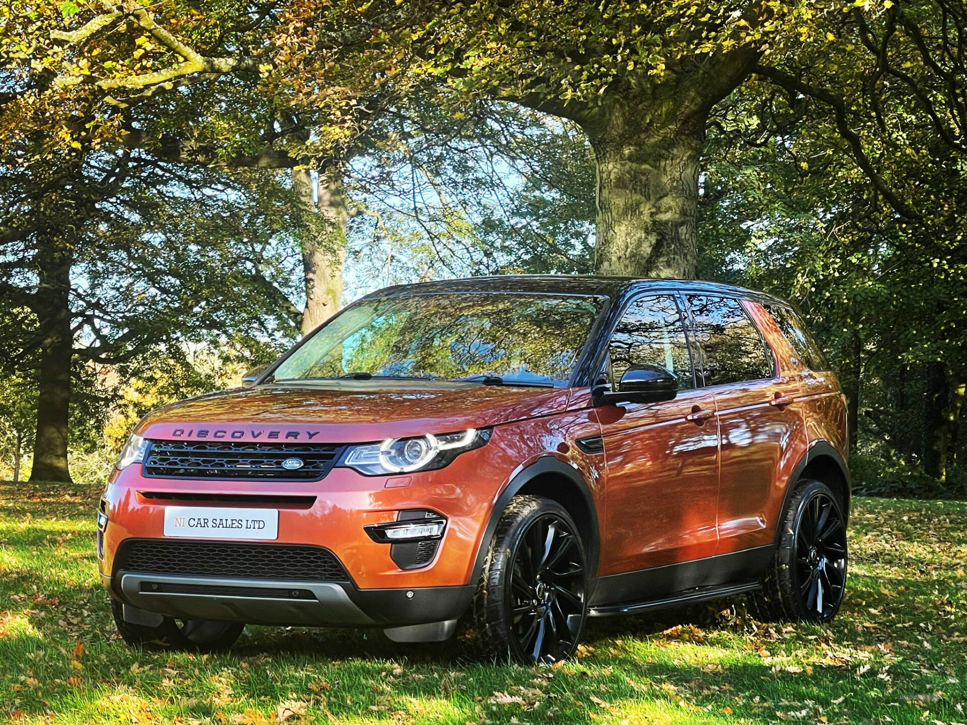 Land Rover Discovery Sport DIESEL SW in Armagh
