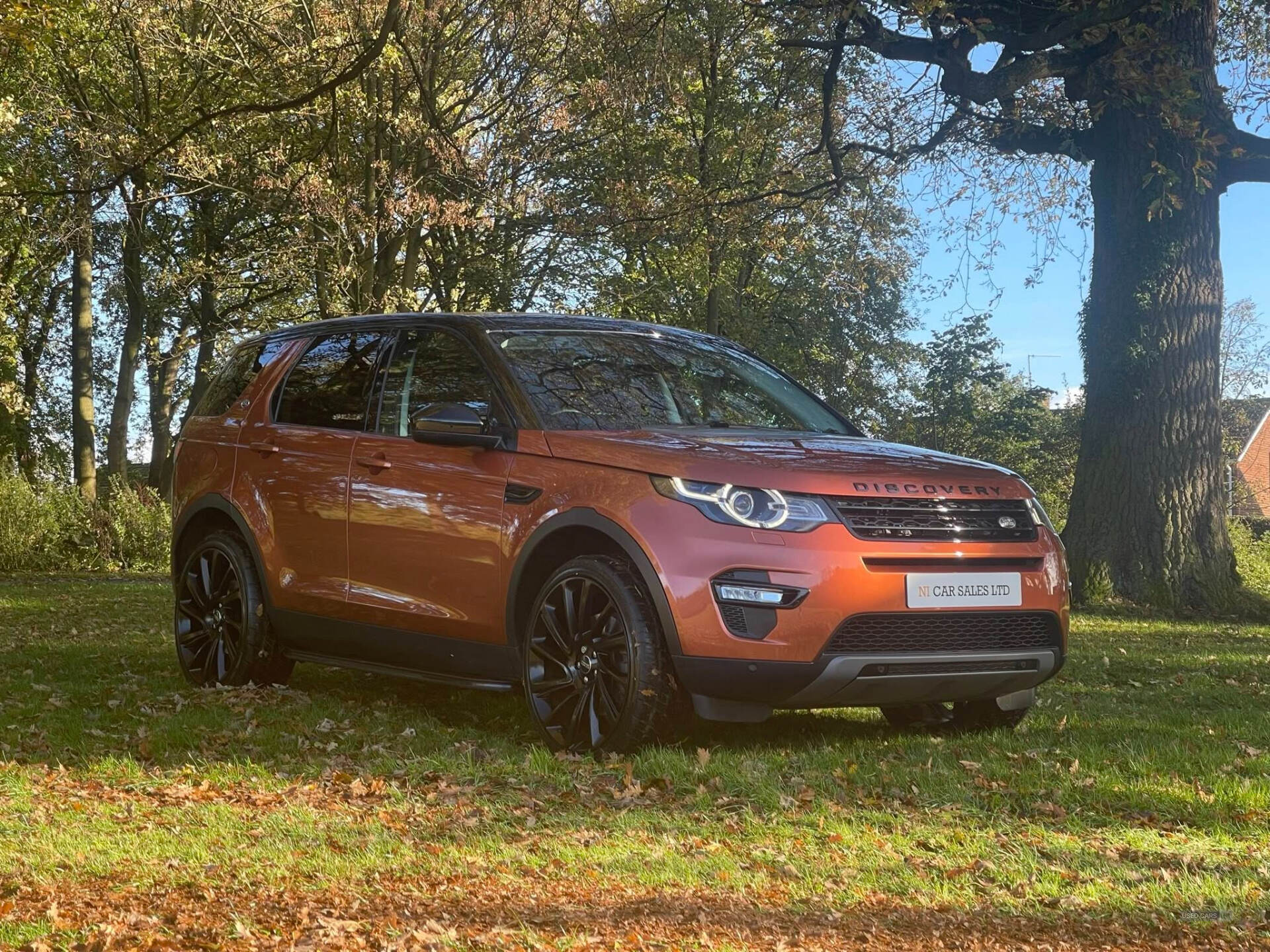 Land Rover Discovery Sport DIESEL SW in Armagh
