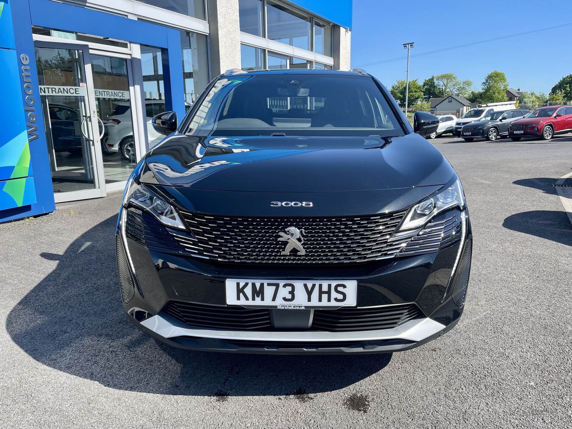 Peugeot 3008 DIESEL ESTATE in Tyrone