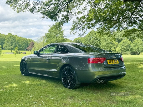 Audi A5 COUPE SPECIAL EDITIONS in Armagh