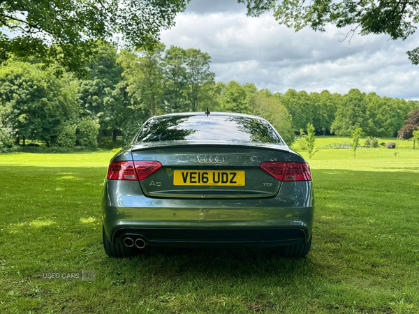 Audi A5 COUPE SPECIAL EDITIONS in Armagh