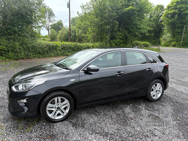 Kia Ceed DIESEL HATCHBACK in Fermanagh