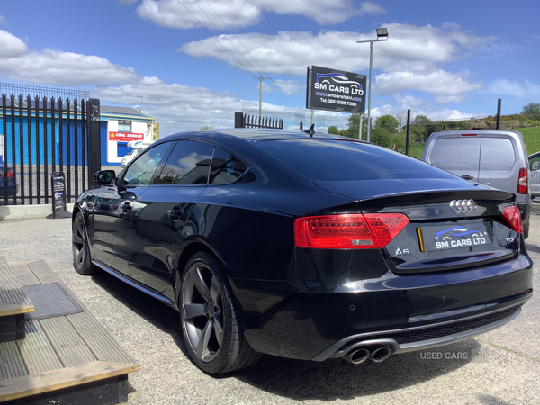 Audi A5 SPORTBACK SPECIAL EDITIONS in Down