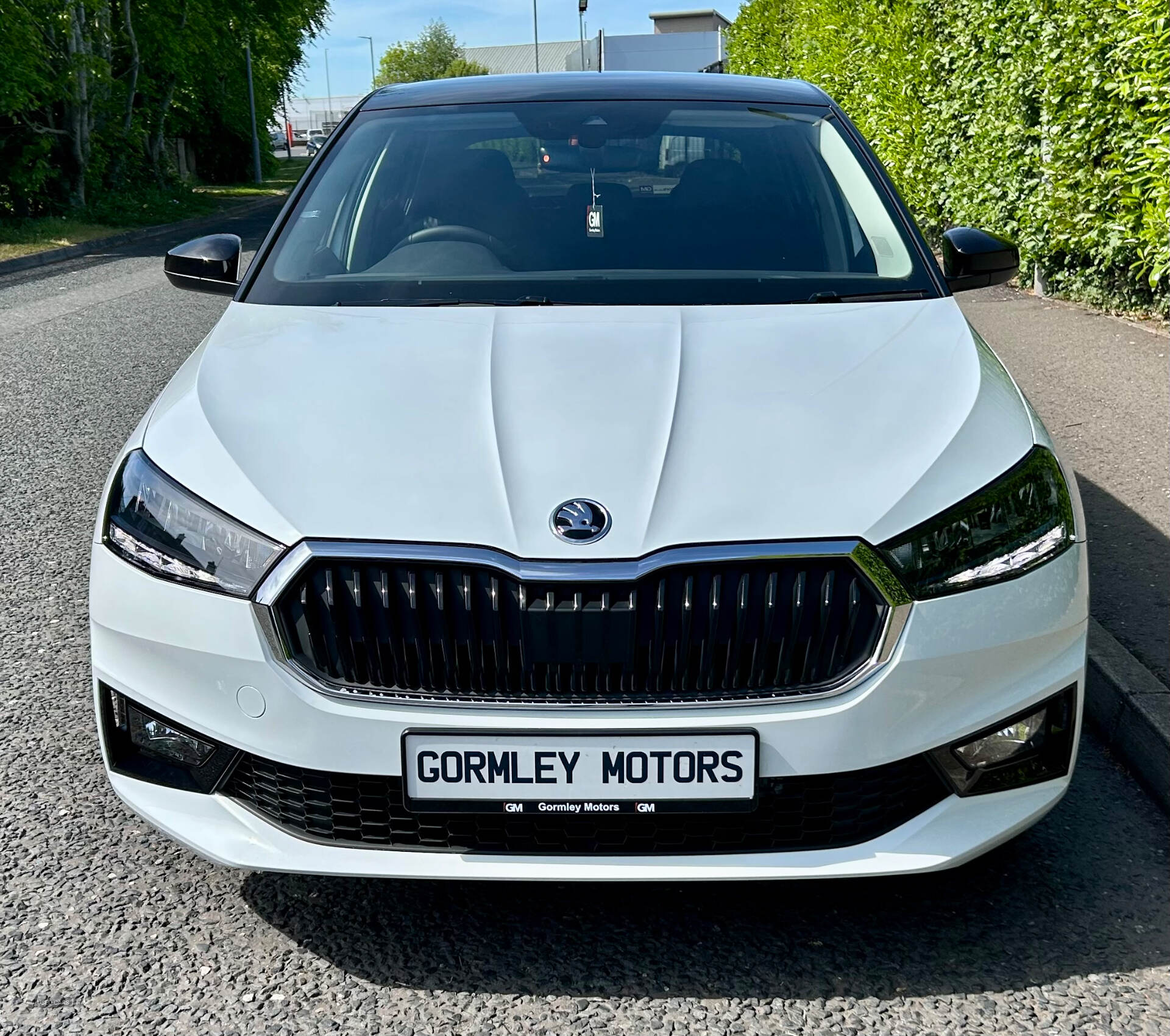 Skoda Fabia HATCHBACK in Tyrone