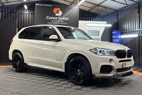 BMW X5 DIESEL ESTATE in Tyrone