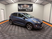 Ford Fiesta 1.0 Fiesta Active Edition T MHEV 5dr in Antrim