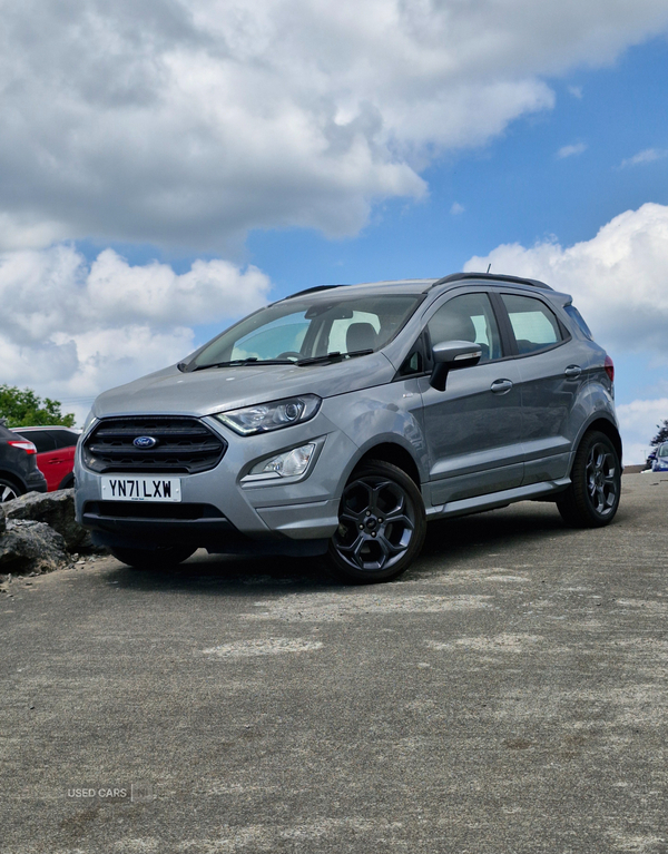 Ford EcoSport HATCHBACK in Fermanagh