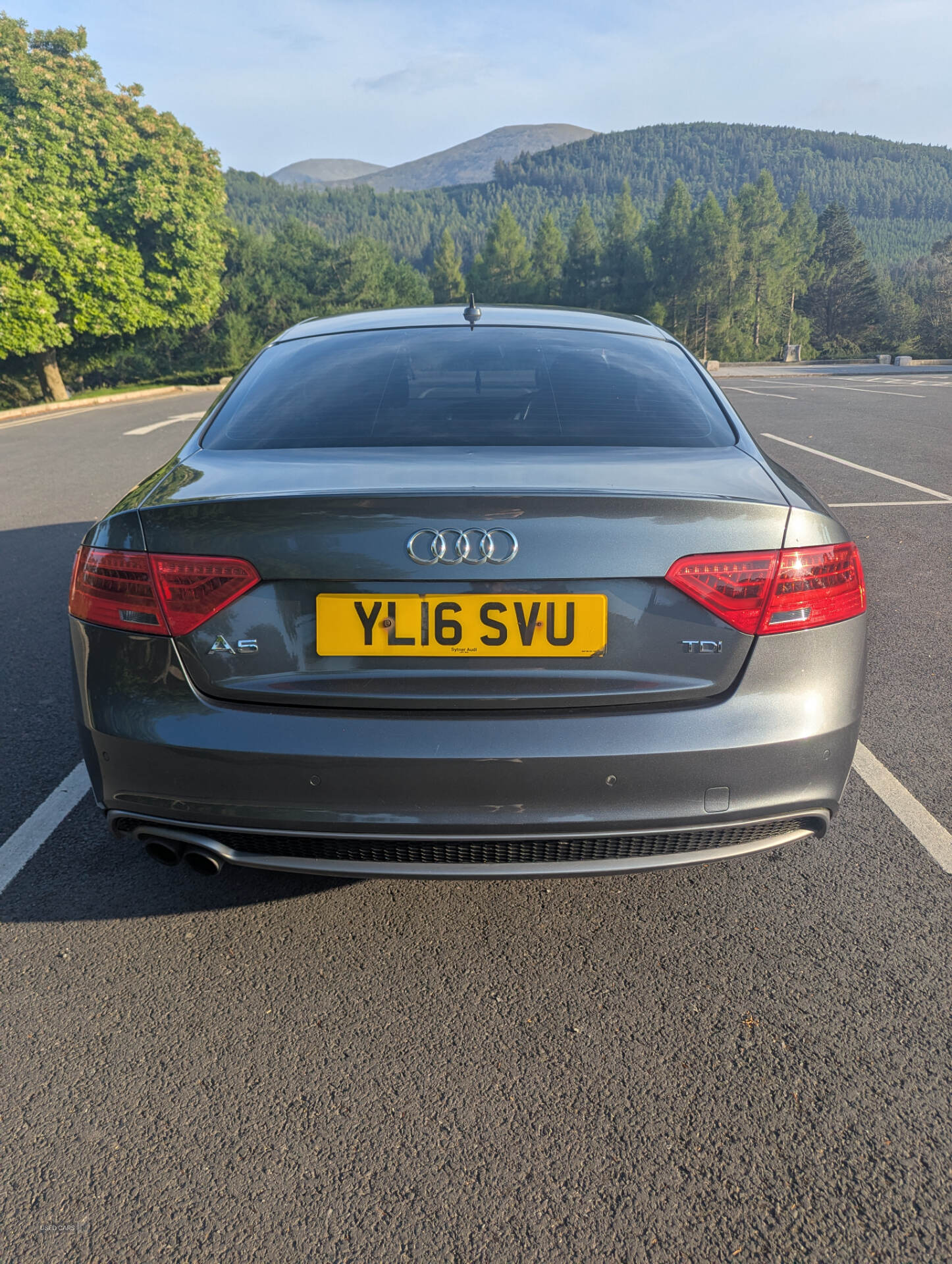 Jun 2016 Audi A5 2.0 TDI 190 S Line 2dr [Nav]