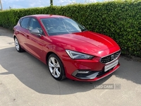 Seat Leon HATCHBACK in Tyrone
