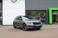 Skoda Kamiq Monte Carlo 1.0 TSI 110 PS 6G Man in Antrim