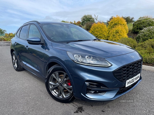 Ford Kuga DIESEL ESTATE in Tyrone