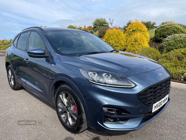 Ford Kuga DIESEL ESTATE in Tyrone