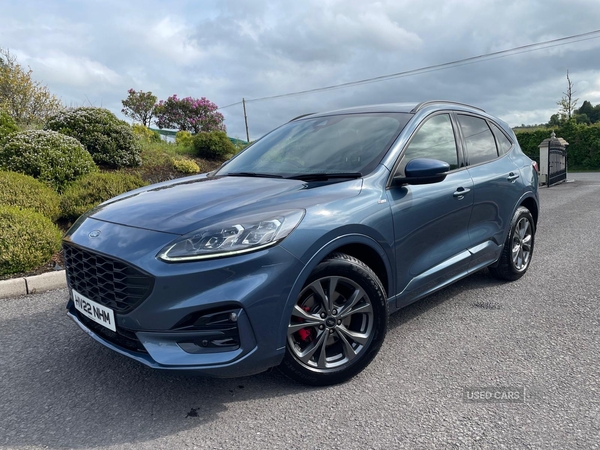 Ford Kuga DIESEL ESTATE in Tyrone