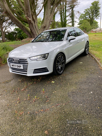 Audi A4 2.0 TDI Ultra 190 Sport 4dr S Tronic in Down